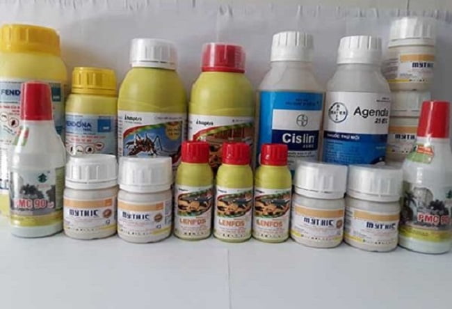 Diệt mối tại Ba Vì bằng hóa chất chuẩn Bộ Y tế – Hiệu quả tận tổ, không tái phát.