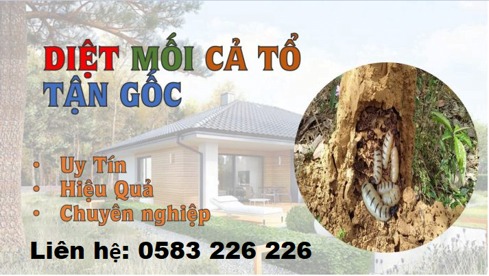 công ty diệt mối tận gốc