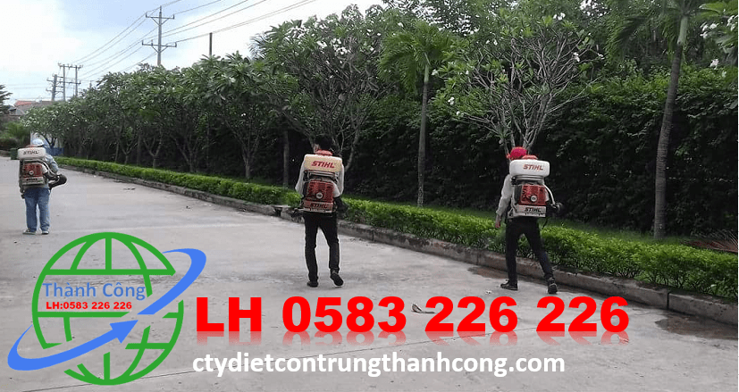 Diệt Muỗi Tại Nhà Giá Rẻ Tại Quận Đống Đa