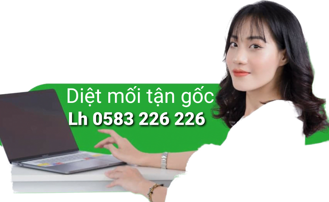 Dịch Vụ Diệt Mối Giá Rẻ Tại Bắc Ninh