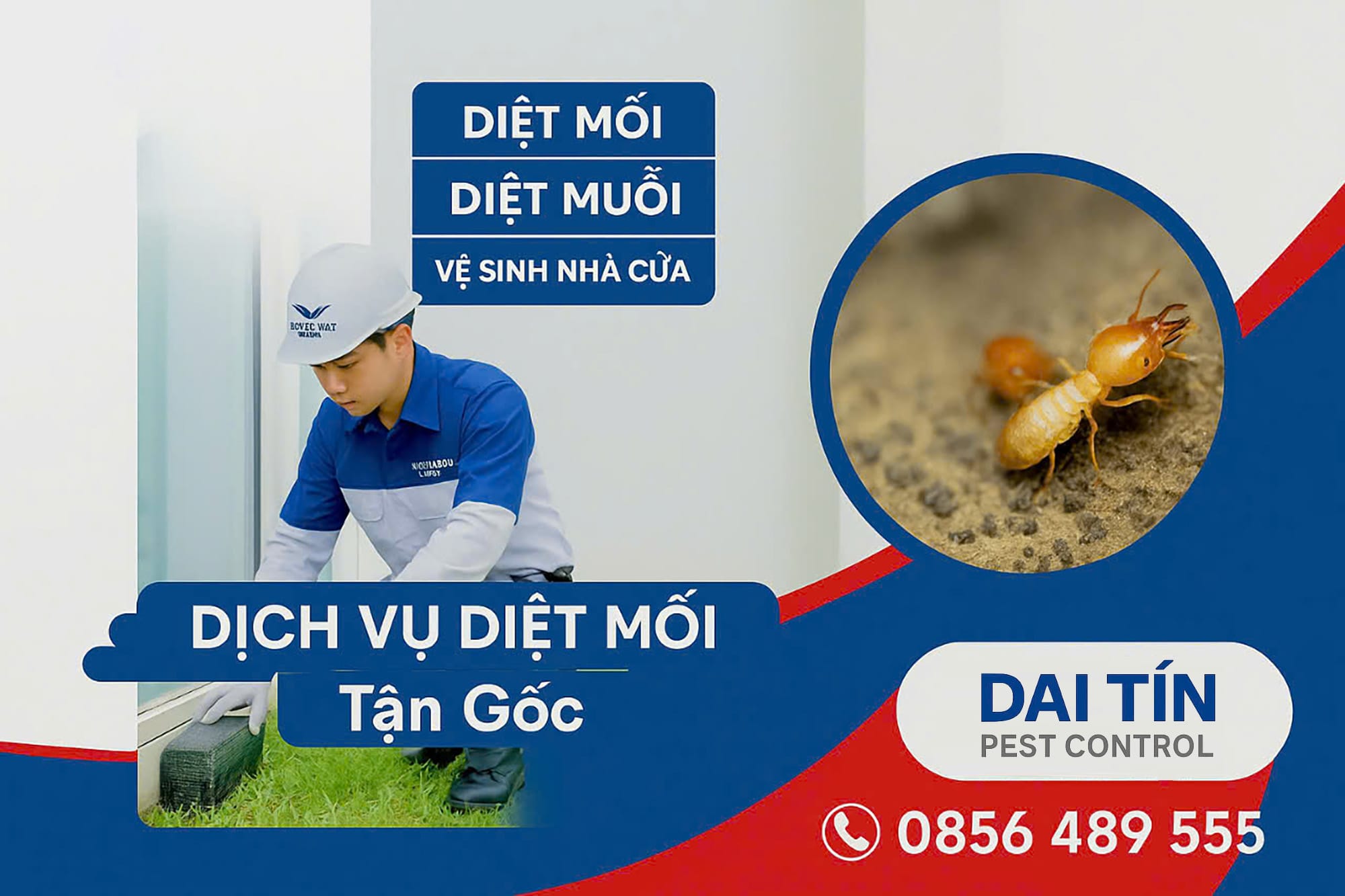Cam kết từ Đại Tín Pest Control – Diệt mối tận gốc, không tái phát!