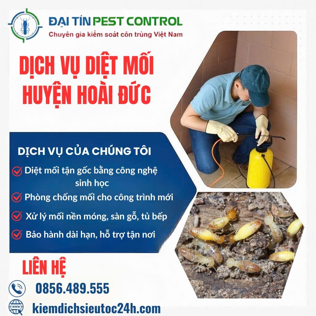 Dịch vụ diệt mối tại Hoài Đức – Nhanh chóng, an toàn, giá tốt