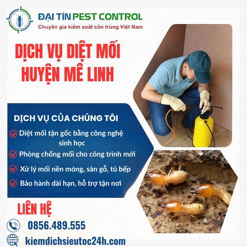 Dịch vụ diệt mối tại Mê Linh – Uy tín hàng đầu, hiệu quả tận rễ