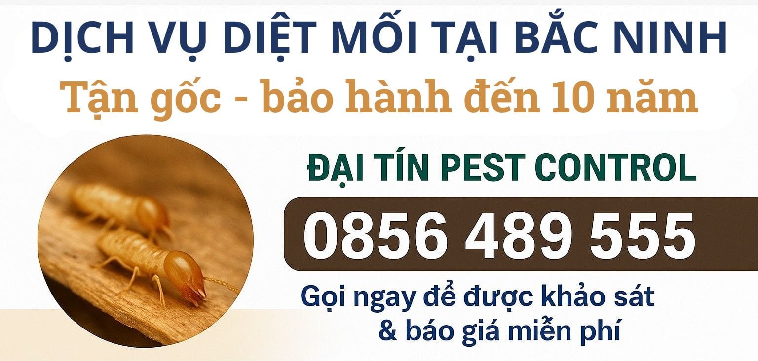 Dịch vụ diệt mối tại Bắc Ninh - 0856.489.555