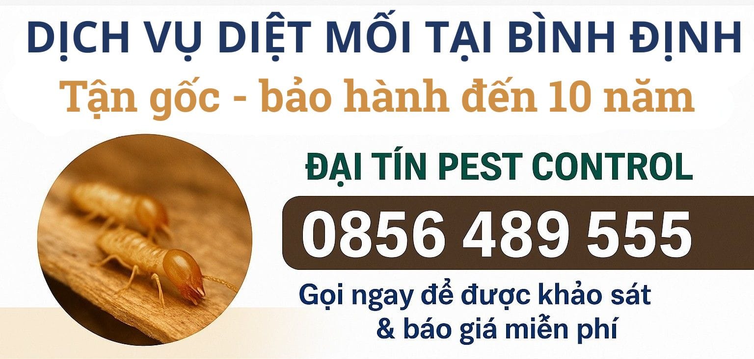 Dịch vụ diệt mối tại Bình Định uy tín cho mọi công trình