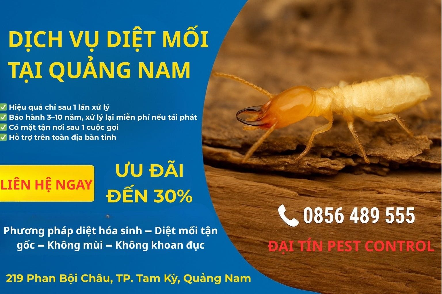 Dịch vụ diệt mối tại Quảng Nam