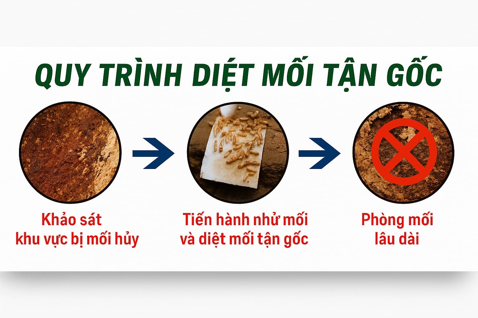 Quy trình dịch vụ diệt mối tại Bắc Ninh