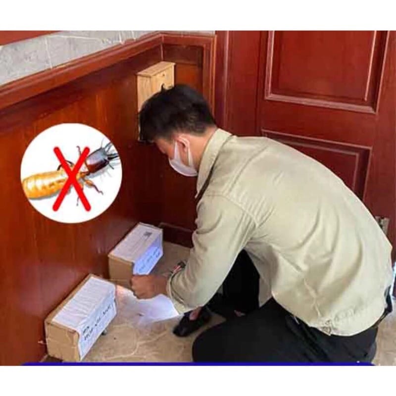 Đại Tín Pest Control khảo sát miễn phí trên toàn thị xã Sơn Tây cho khách hàng, có mặt sau 30 phút