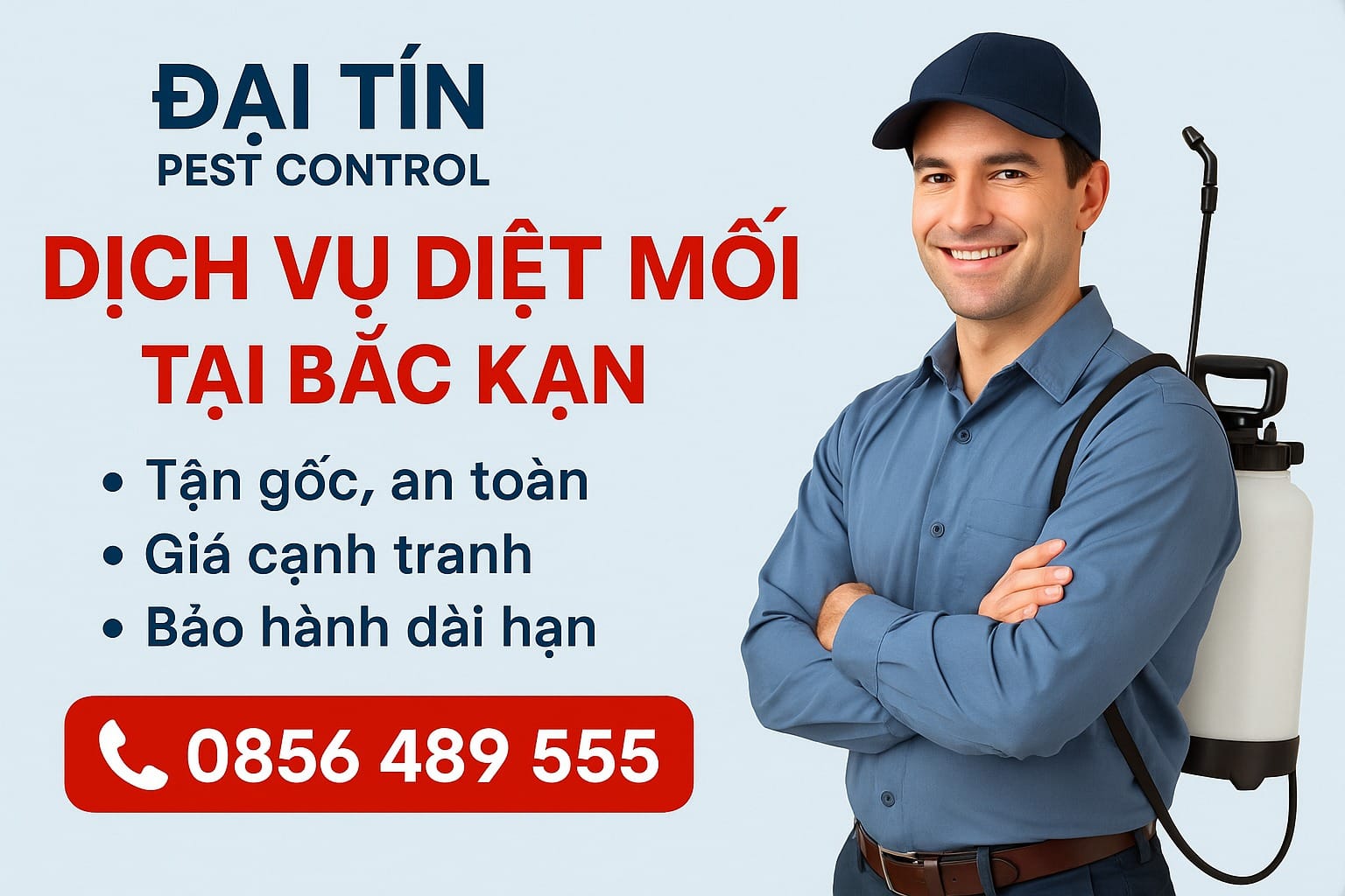 Dịch vụ diệt mối tại Bắc Kạn uy tín – Gọi Đại Tín là sạch mối!