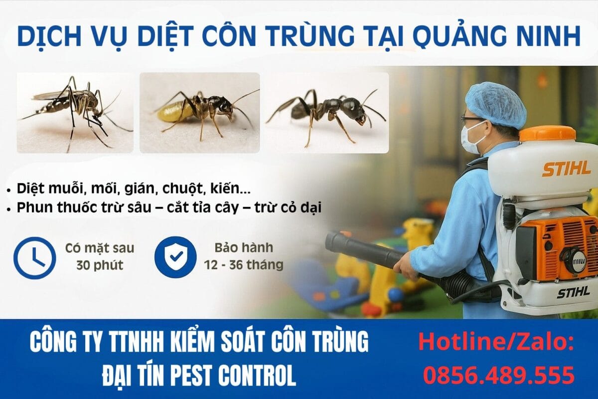 Dịch vụ diệt côn trùng tại Quảng Ninh