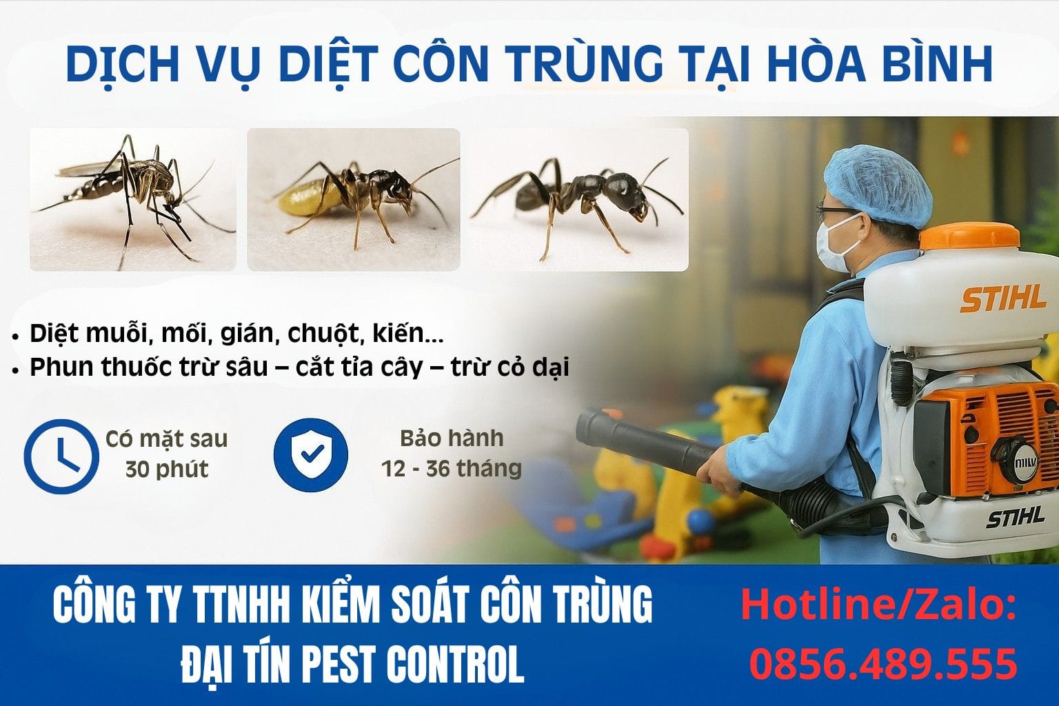 Dịch vụ diệt côn trùng tại Hòa Bình