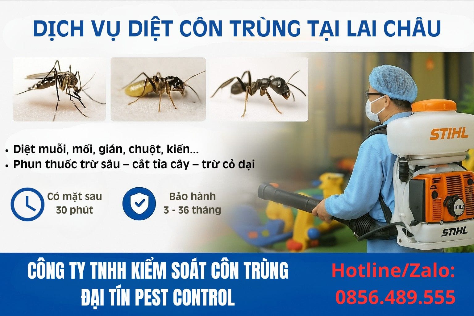 Dịch vụ diệt côn trùng tại Lai Châu