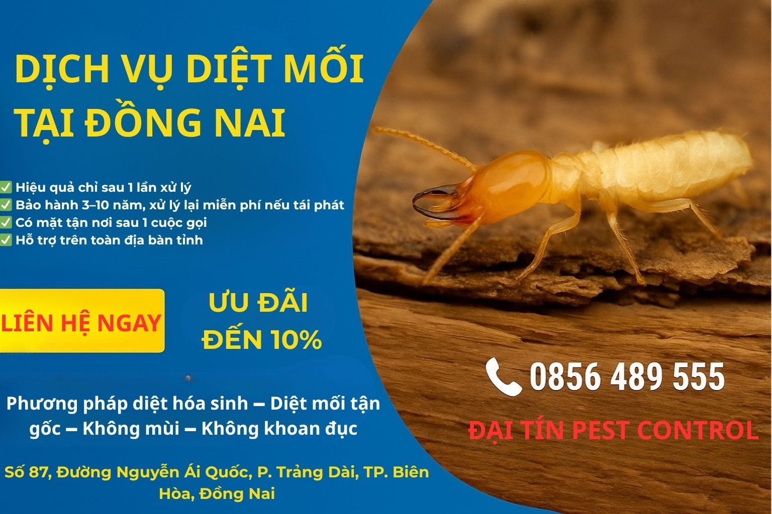 Dịch vụ diệt mối tại Đồng Nai