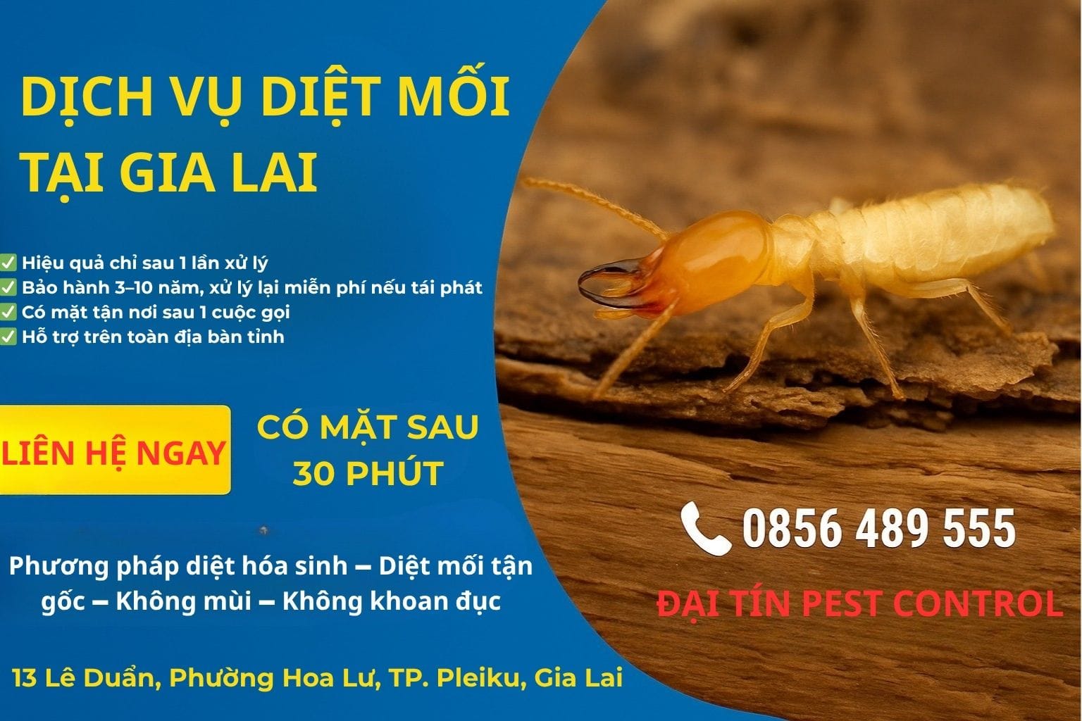Dịch vụ diệt mối tại Gia Lai