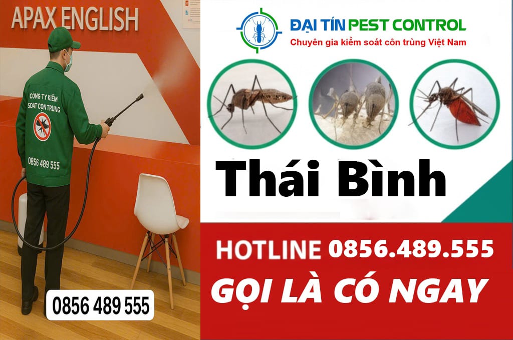 Bí quyết chọn đơn vị phun thuốc muỗi uy tín tại Thái Bình